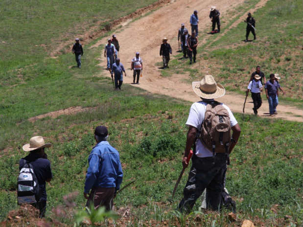 Determinación De Límites Principal Problema Agrario En La Mixteca E Periódico 2884