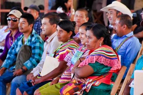 Cumplimiento de los Acuerdos de San Andrés, asignatura pendiente del Gobierno de México: Regino Montes imagen 5